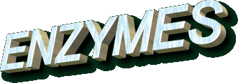 ENZYMES
